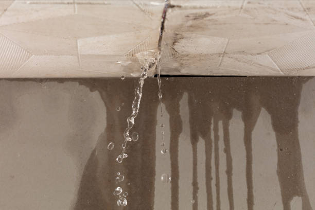 Professional Water Damage Repair technician working in Crystal Lake, CT